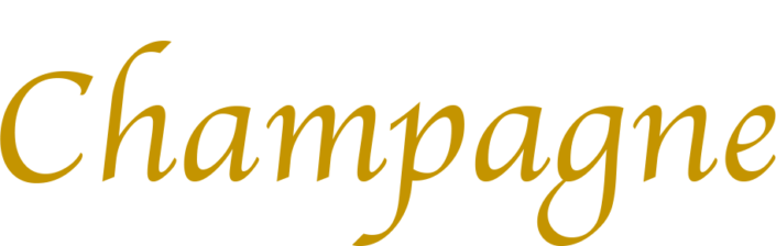 Logo robe à champagne blanc