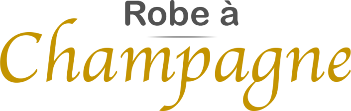 Logo robe à champagne gris - Sur Mesures Spectacles